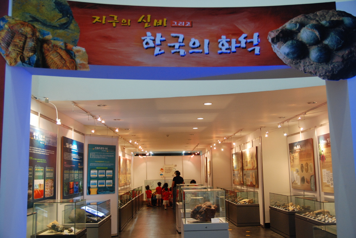 [2009] 지구의 신비 그리고 한국의 화석 사진1