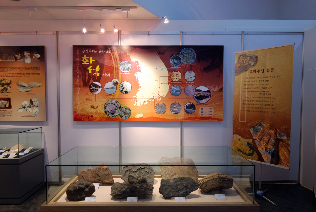 [2009] 지구의 신비 그리고 한국의 화석 사진5