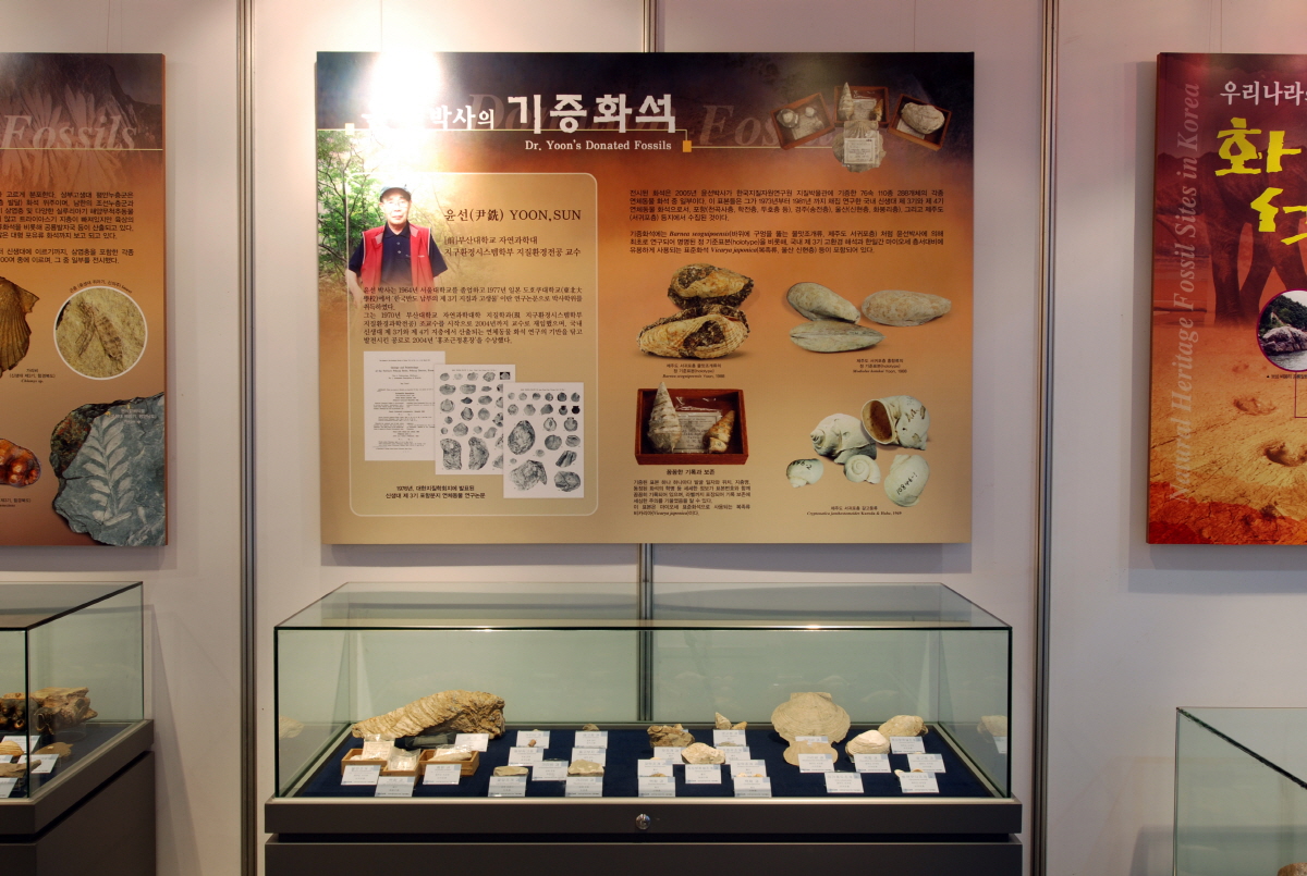 [2009] 지구의 신비 그리고 한국의 화석 사진6