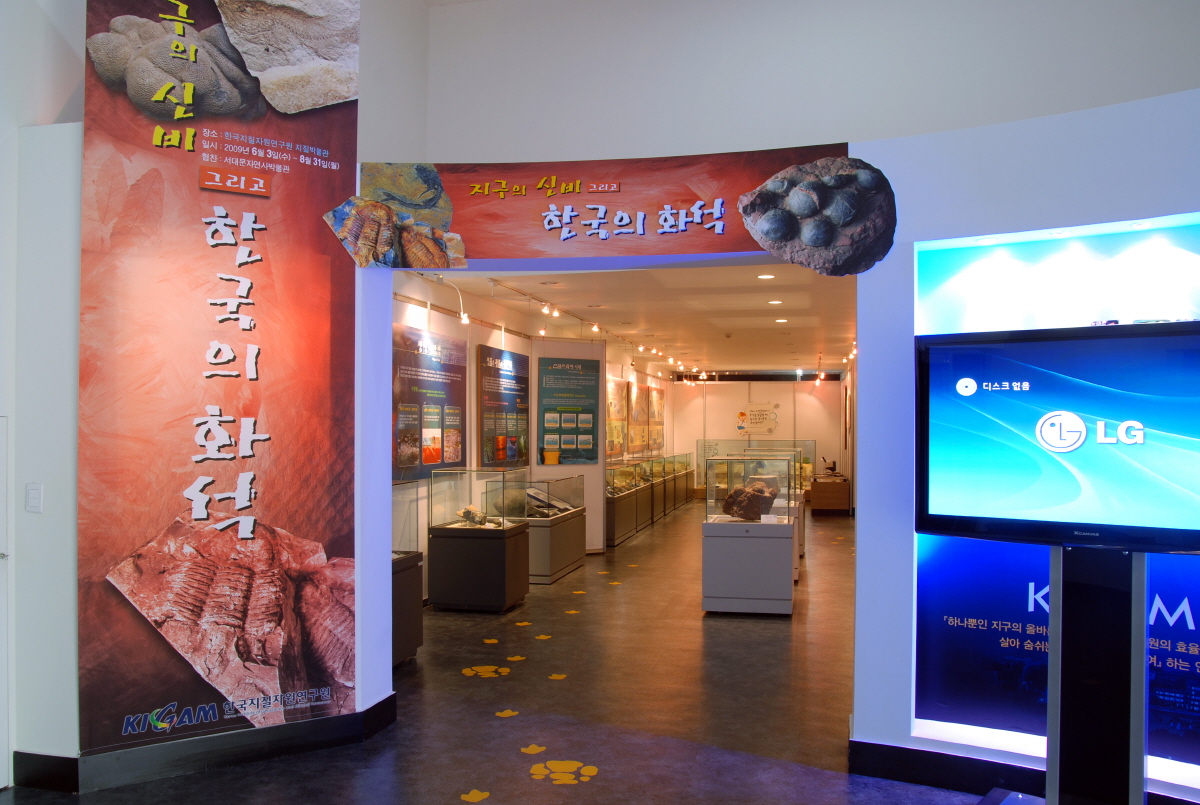 [2009] 지구의 신비 그리고 한국의 화석 사진8