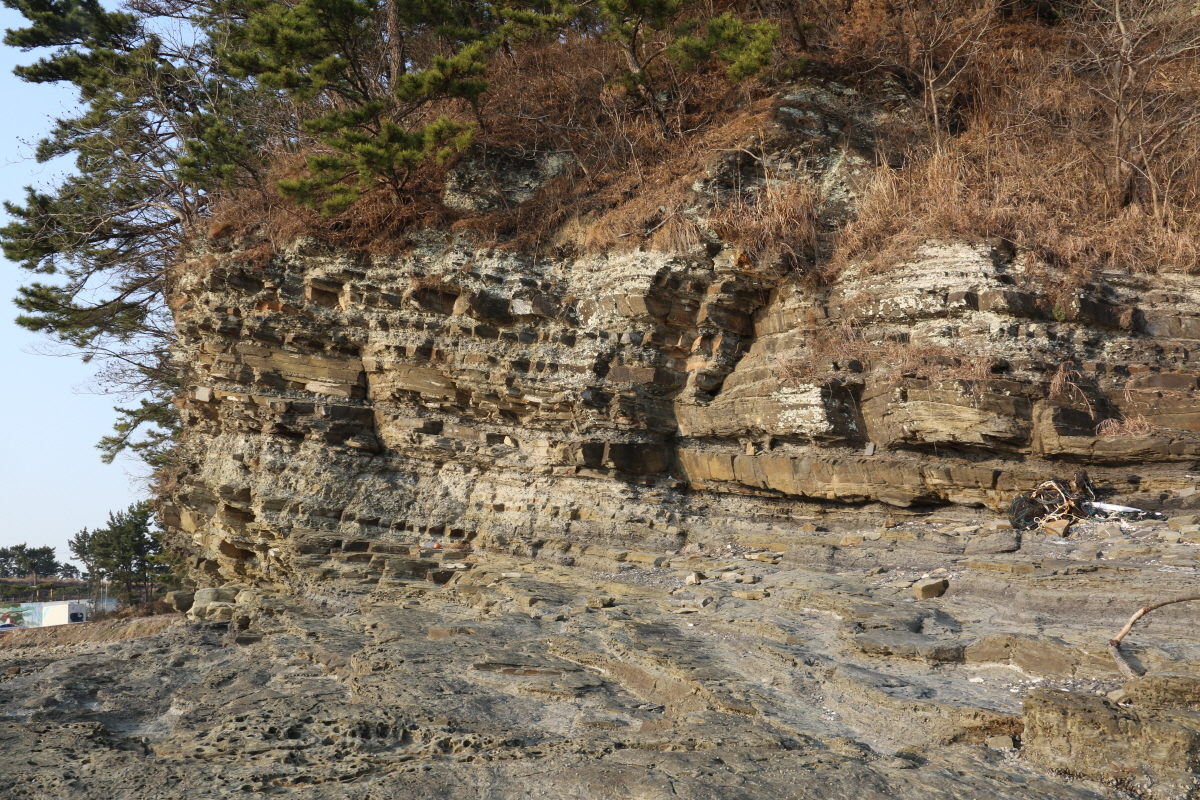 Shale and sandstone (lacustrine deposits) Interval from the Jinju Formation, Gyeongsan Supergroup