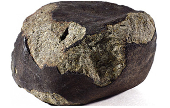 리디 석질운석(Leedey Chondrite)의 편광현미경 사진, 미국 오클라호마주 Dewey County 이미지