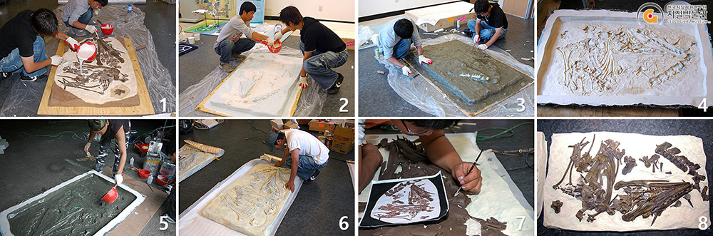 백악기 해양파충류(플라테카르푸스) 화석의 복제과정