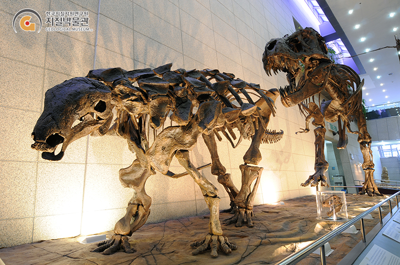 지질박물관 중앙홀의 공룡골격 복제 전시물