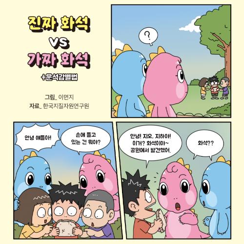 진짜 화석 VS 가짜 화석(+운석감별법)