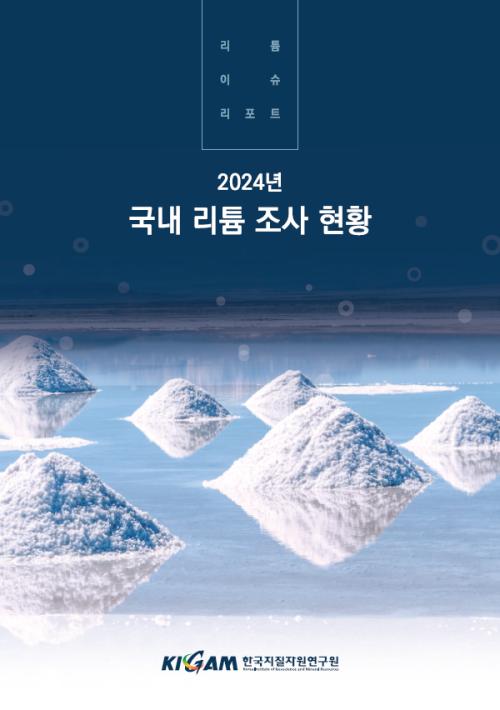 2024년 국내 리튬 조사 현황