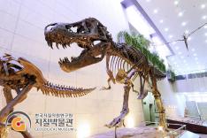 [진짜 화석/가짜 화석] 2/4 - 복제화석은 가짜? 사진