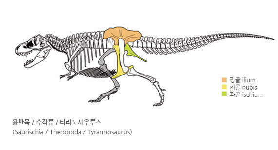 공룡 이미지