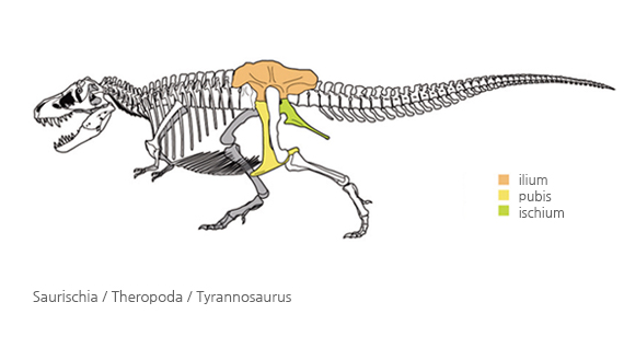 dinosaur image