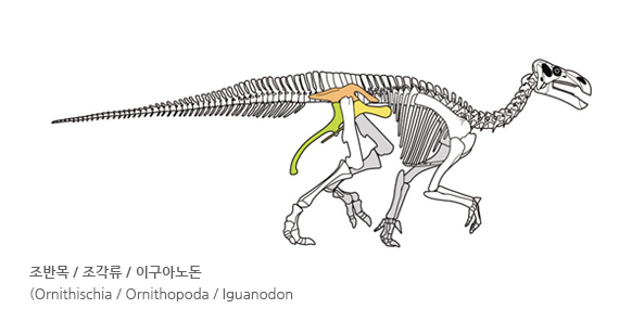 공룡 이미지