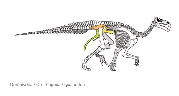 dinosaur image