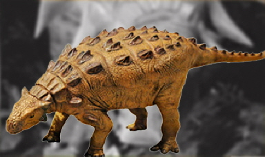 Edmontonia 