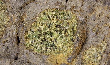 Mantle Xenolith