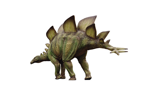 restoration model image