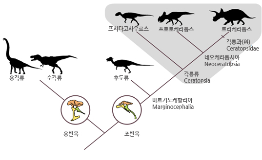 카스모사우루스 이미지