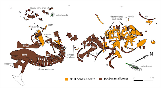 Preservational facts image