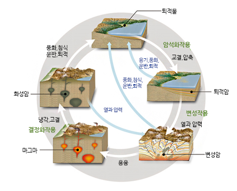 보존의 특이성 이미지