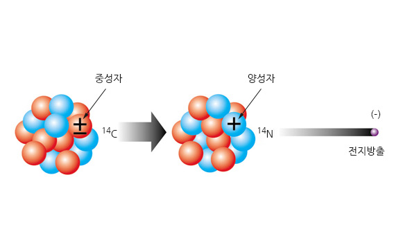 반감기 이미지