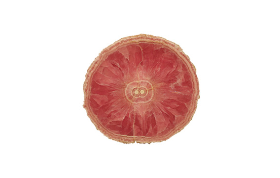 능망간석(Rhodochrosite) 이미지