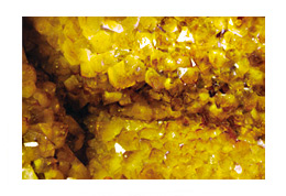 4. Citrine