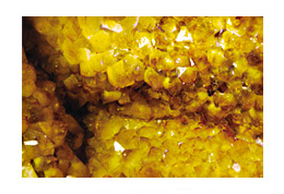 4. 황수정(Citrine)