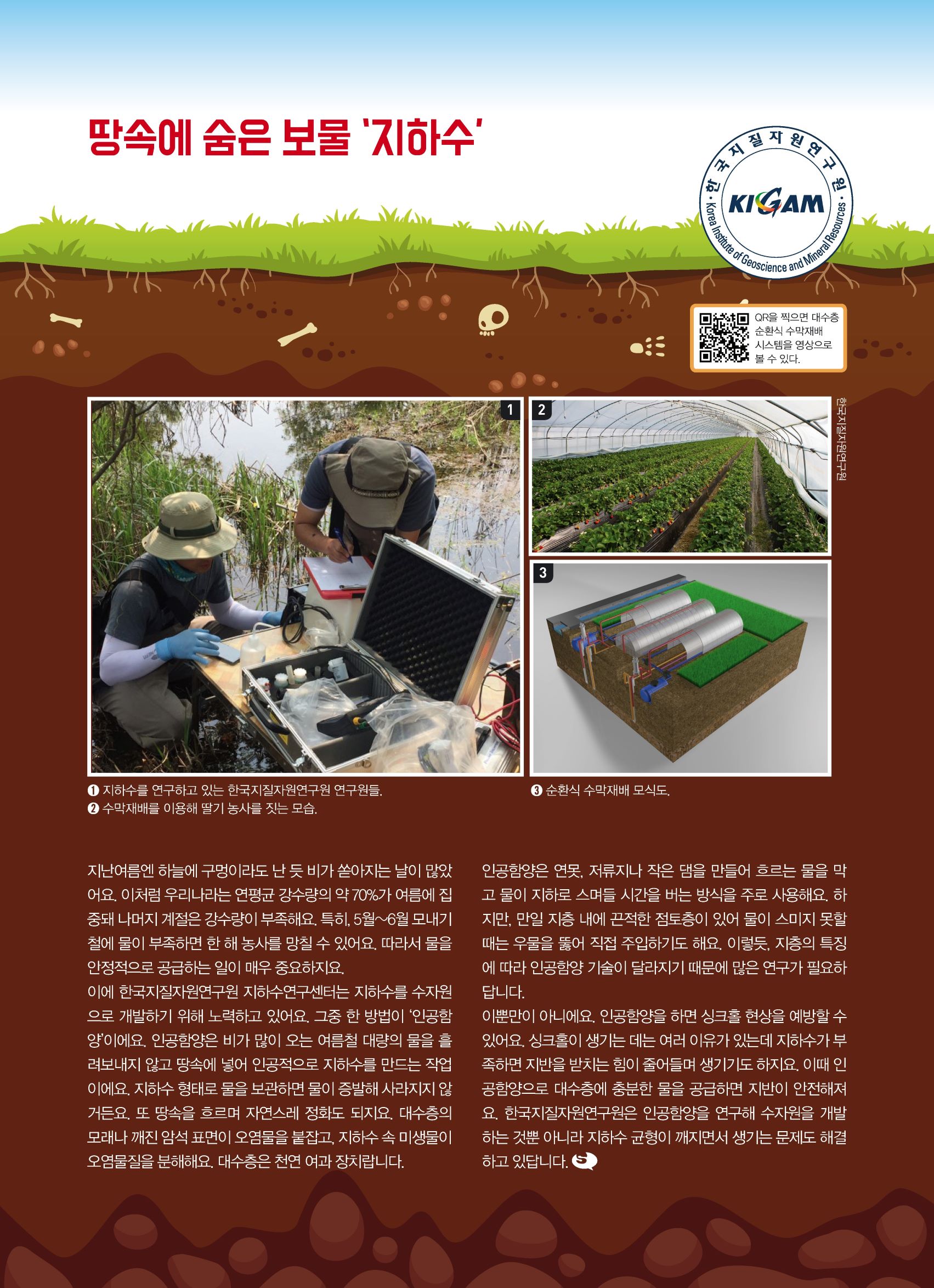 땅속에 숨은 보물 '지하수' 한국지질자원연구원 KIGAM Korea Institute of Geoscience and Mineral Resources QR을 찍으면 대수층 순환식 수막재배 시스템을 영상으로 볼 수 있다. 사진1 1.지하수를 연구하고 있는 한국지질자원연구원 연구원들. 사진2 2.수막재배를 이용해 딸기 놀사를 짓는 모습. 사진3 3.순환식 수막재배 모식도 한국지질자원원구원 지난여름엔 하늘에 구멍이라도 난 듯 비가 쏟아지는 날이 많았어요. 이처럼 우리나라는 연평균 강수량의 약 70%가 여름에 집중돼 나머지 계절은 강수량이 부족해요. 특히, 5월~6월 모내기철에 물이 부족하면 한 해 농사를 망칠 수 있어요. 따라서 물을 안정적으로 공급하는 일이 매우 중요하지요. 이에 한국지질자원연구원 지하수연구센터는 지하수를 수자원으로 개발하기 위해 노력하고 있어요. 그중 한 방법이 '인공함양'이에요. 인공함양은 비가 많이 오는 여름철 대량의 물을 흘려보내지 않고 땅속에 넣어 인공적으로 지하수를 만드는 작업이에요. 지하수 형태로 물을 보관하면 물이 증발해 사라지지 않거든요. 또 땅속을 흐르며 자연스레 정화도 되지요. 대수층의 모래나 깨진 암석 표면이 오염물을 붙잡고, 지하수 속 미생물이 오염물질을 분해해요. 대수층은 천연 여과 장치랍니다. 인공함양은 연못, 저류지나 작은 댐을 만들어 흐르는 물을 막고 물이 지하로 스며들 시간을 버는 방식을 주로 사용해요. 하지만, 만일 지층 내에 끈적한 점토층이 있어 물이 스미지 못할때는 우물을 뚫어 직접 주입하기도 해요. 이렇듯, 지층의 특징에 따라 인공함양 기술이 달라지기 때문에 많은 연구가 필요하답니다. 이뿐만이 아니에요. 인공함양을 하면 싱크홀 현상을 예방할 수 있어요. 싱크홀이 생기는 데는 여러 이유가 있는데 지하수가 부족하면 지반을 받치는 힘이 줄어들며 생기기도 하지요. 이때 인공함양으로 대수층에 충분한 물을 공급하면 지반이 안전해져요. 한국지질자원연구원은 인공함양을 연구해 수자원을 개발하는 것뿐 아니라 지하수 균형이 깨지면서 생기는 문제도 해결하고 있답니다.